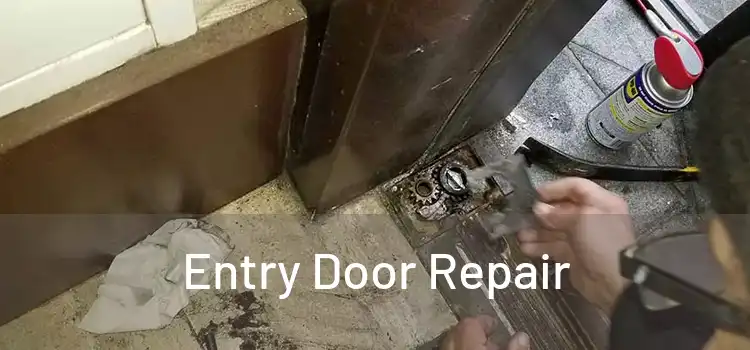 Entry Door Repair